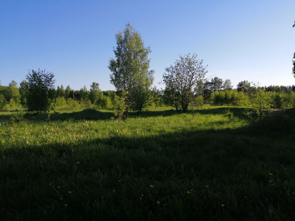 Ивановское участки. Деревня Антоново Ивановская область. Худынино Ивановская область. 1500 Соток. Участок 1500 соток.